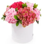 Цветы в коробке Сияющий румянец