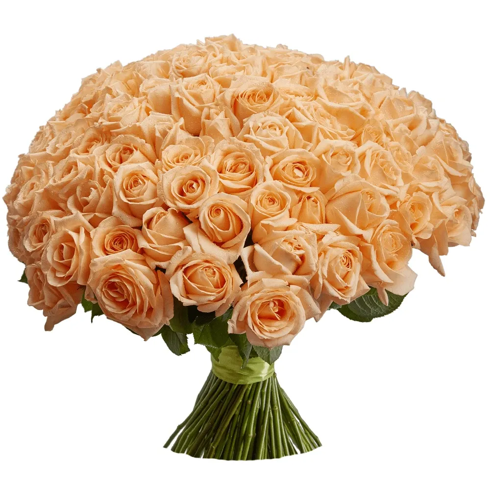 Розы Эквадор кремовые